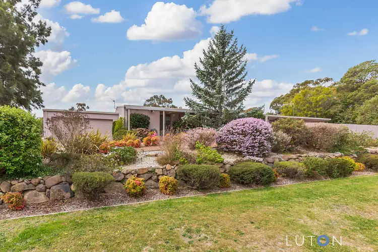 Third view of Homely townhouse listing, 1/146 Shackleton Circuit, Mawson ACT 2607