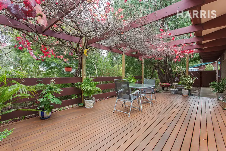 14 Murrays Hill Road, Coromandel Valley SA 5051