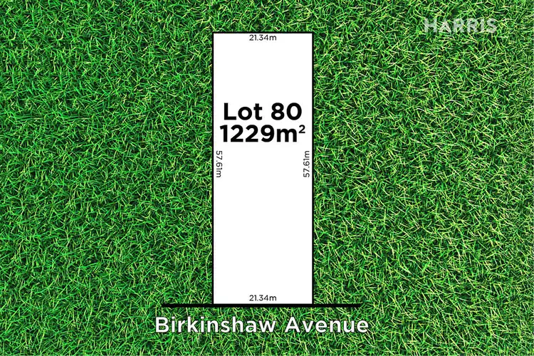 42 Birkinshaw Avenue, Tranmere SA 5073
