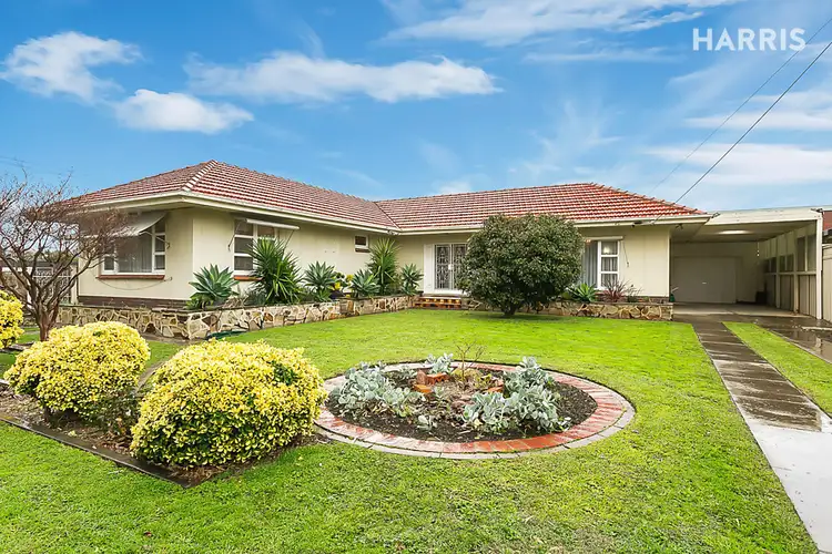19 Harvey Street, Henley Beach SA 5022