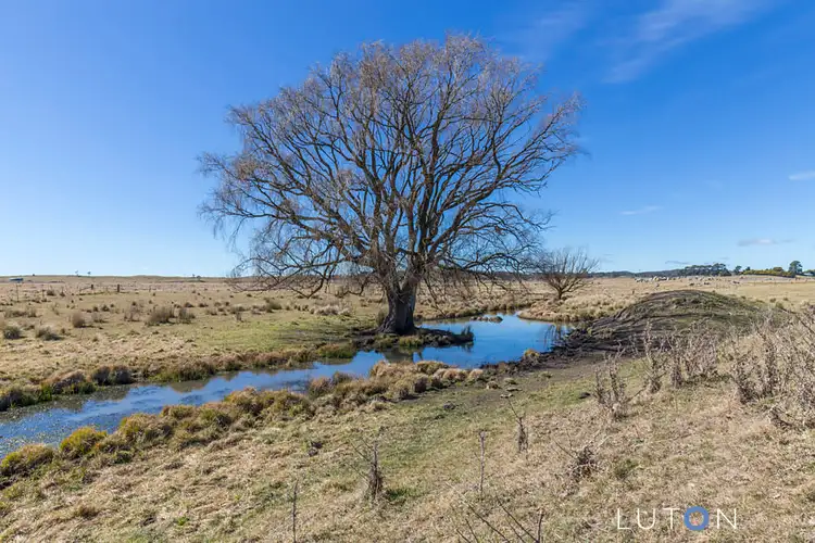 Sixth view of Homely rural property listing, 483 Little River Road, Braidwood NSW 2622