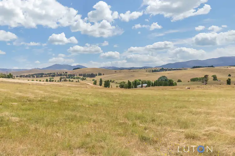 Sixth view of Homely rural property listing, 558 Micalago Road, Michelago NSW 2620