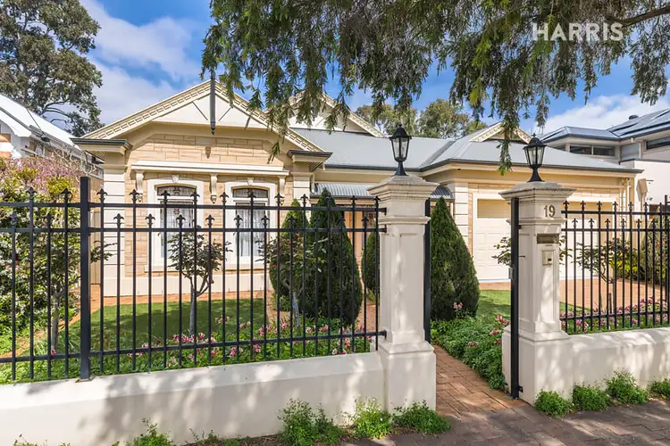 Main view of Homely house listing, 19 Sheffield Street, Malvern SA 5061