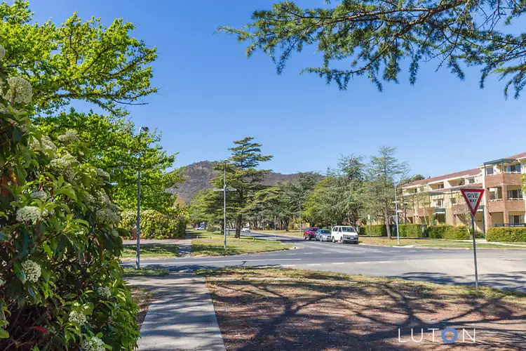 Sixth view of Homely house listing, 13 Batman Street, Braddon ACT 2612