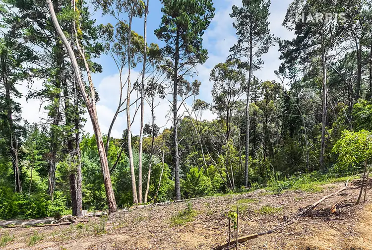 Fifth view of Homely land listing, Lot 1 Manoah Drive, Upper Sturt SA 5156