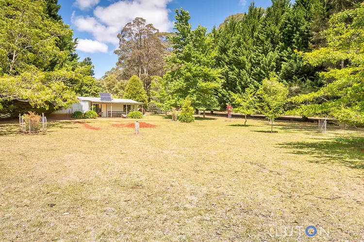 4213 Braidwood Road, Sassafras NSW 2622