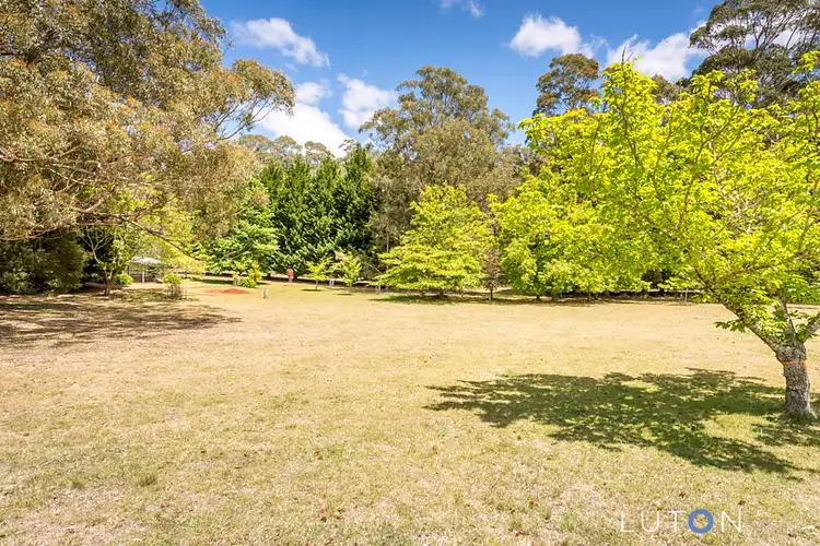 Sixth view of Homely rural property listing, 4213 Braidwood Road, Sassafras NSW 2622