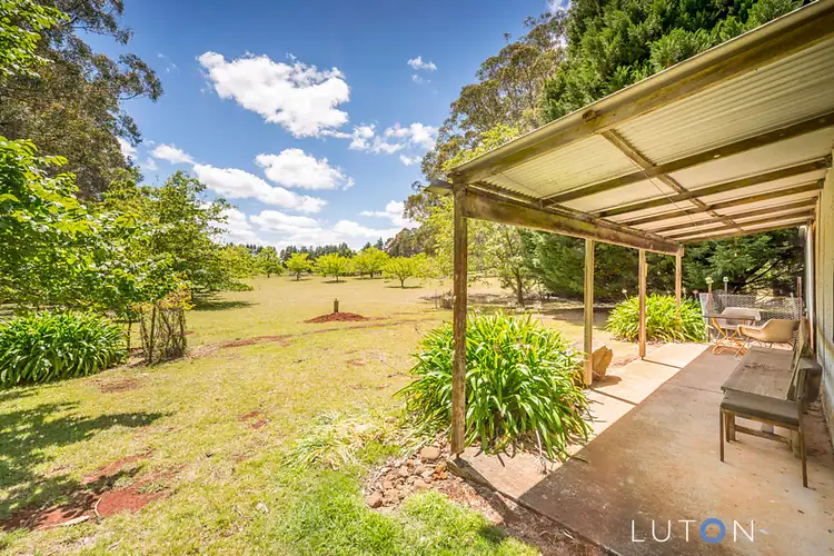 Seventh view of Homely rural property listing, 4213 Braidwood Road, Sassafras NSW 2622