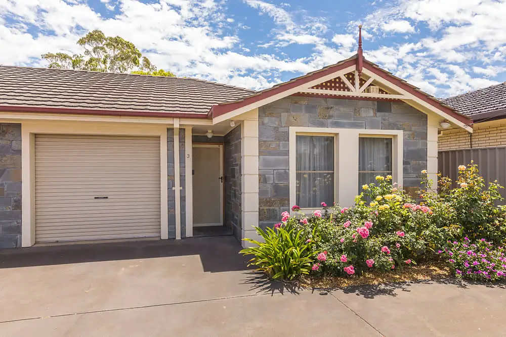 Main view of Homely house listing, 3 Stanley Street, Glengowrie SA 5044