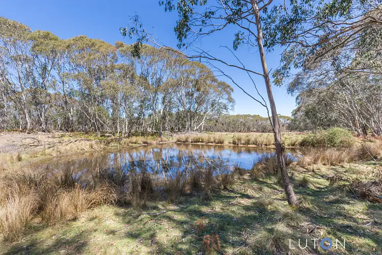Fourth view of Homely rural property listing, 819 Tudor Valley Road, Braidwood NSW 2622