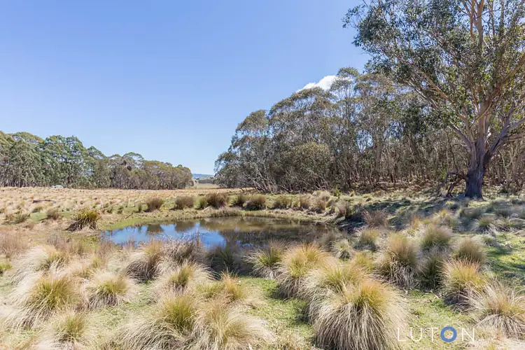 Seventh view of Homely rural property listing, 819 Tudor Valley Road, Braidwood NSW 2622