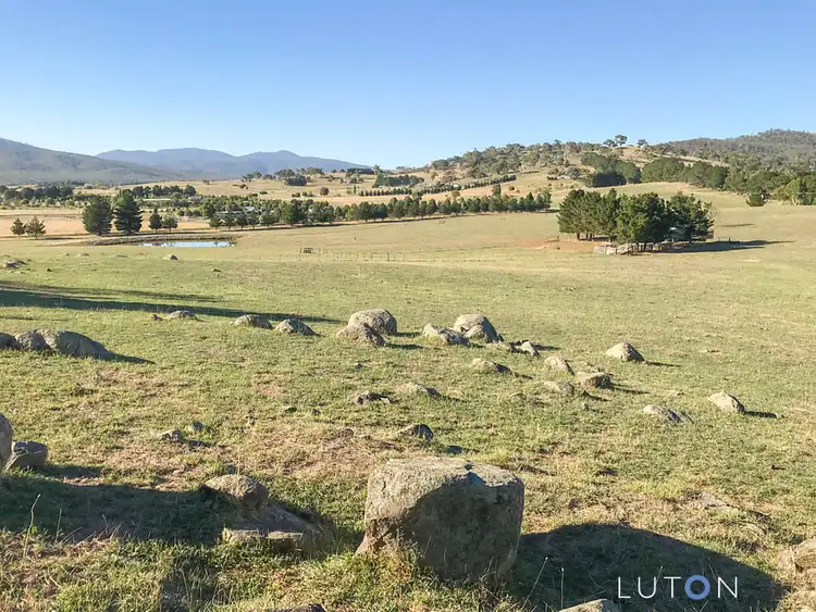 Seventh view of Homely land listing, 37 Badgery Road, Burra NSW 2620