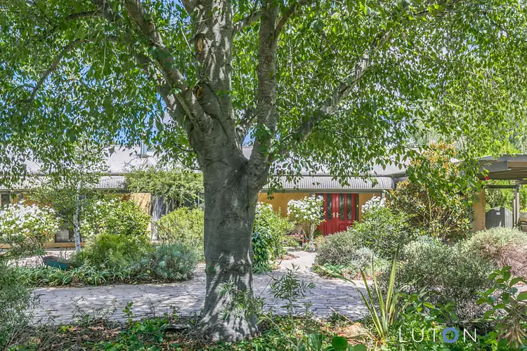 Main view of Homely house listing, 47 Cowper Street, Braidwood NSW 2622