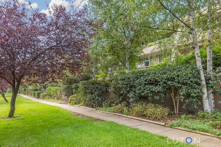 Main view of Homely apartment listing, 11/18 Currie Crescent, Kingston ACT 2604
