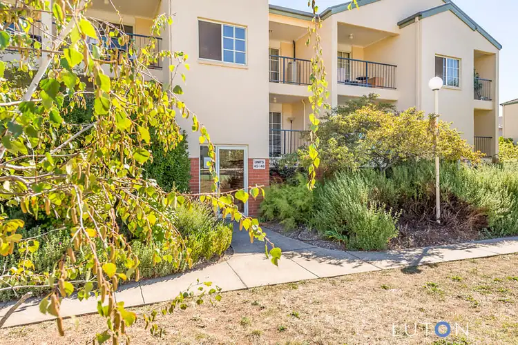 Third view of Homely apartment listing, 46/23 Aspinall Street, Watson ACT 2602