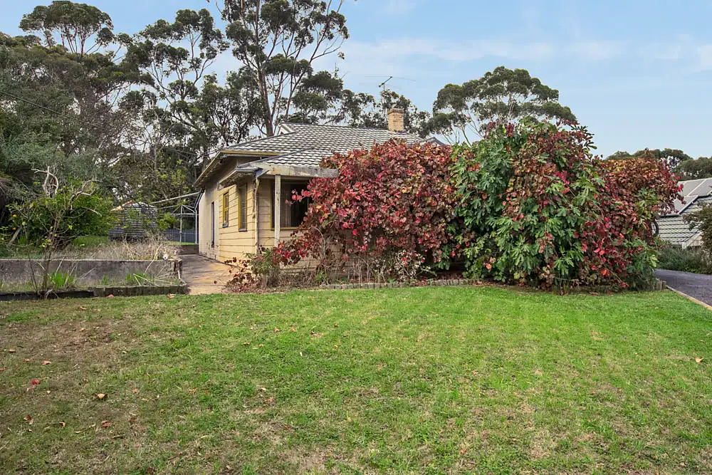 Main view of Homely house listing, 3 Lindsay Terrace, Belair SA 5052