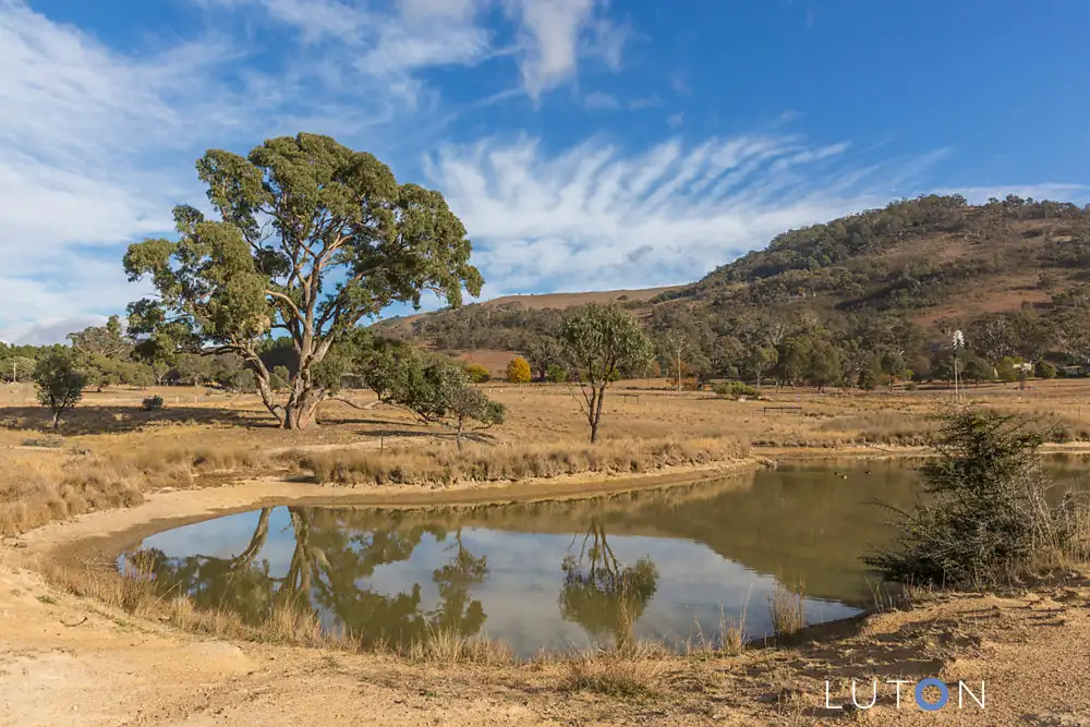 Main view of Homely rural property listing, 383 Williamsdale Road, Burra NSW 2620