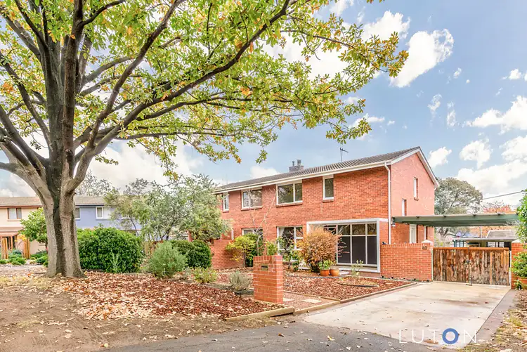 49 Wilshire Street, Dickson ACT 2602
