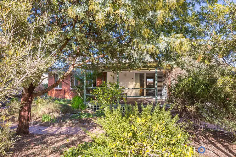 Third view of Homely house listing, 17 Simpson Street, Watson ACT 2602