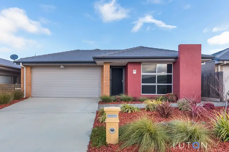 Main view of Homely house listing, 66 Greg Urwin Circuit, Casey ACT 2913