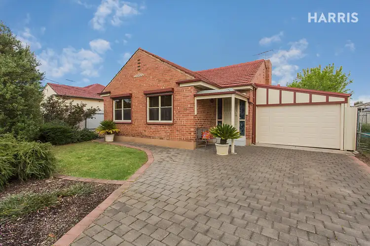 22 Ryan Avenue, Firle SA 5070