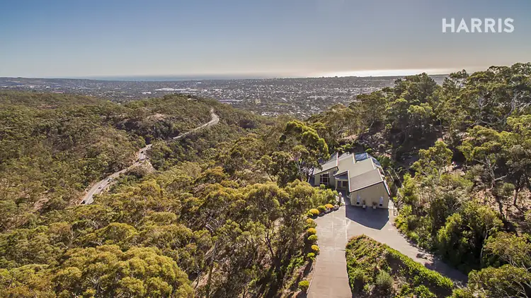 Main view of Homely house listing, 15 Aerial Road, Belair SA 5052