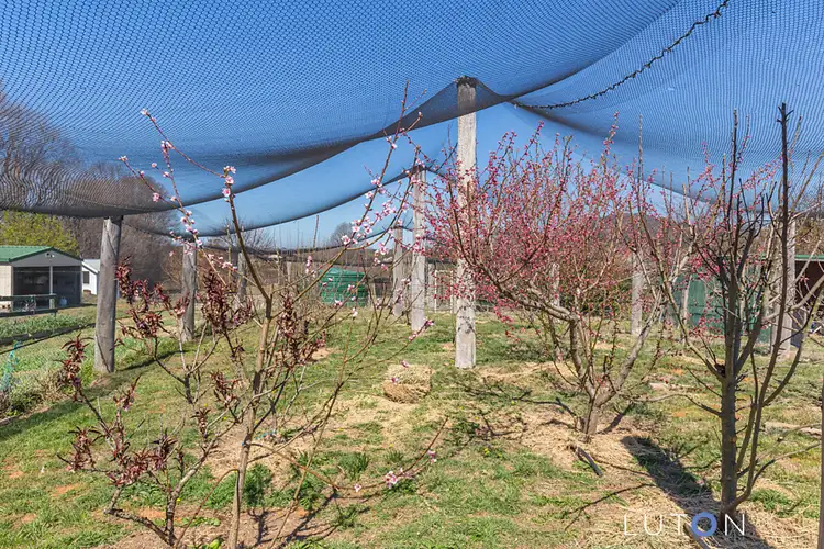 Third view of Homely house listing, 37 Glenmore Road, Braidwood NSW 2622