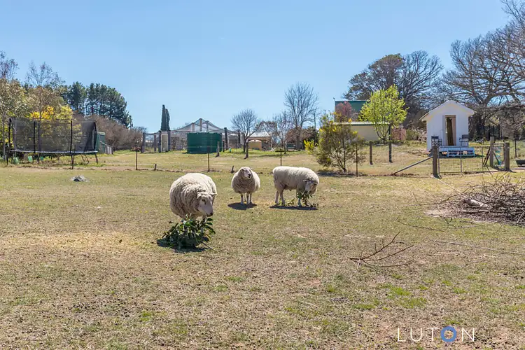 Fourth view of Homely house listing, 37 Glenmore Road, Braidwood NSW 2622