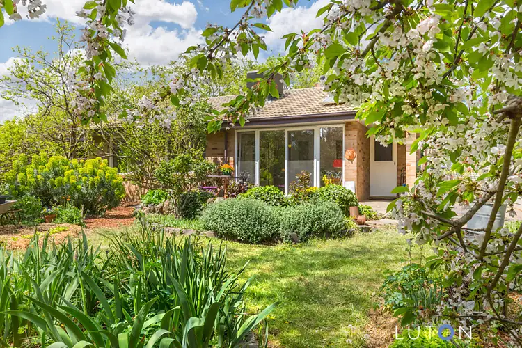 Third view of Homely house listing, 11 Piddington Street, Watson ACT 2602