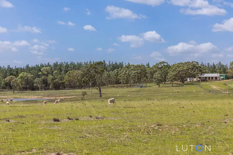 Main view of Homely house listing, 200 Tally Ho Road, Braidwood NSW 2622