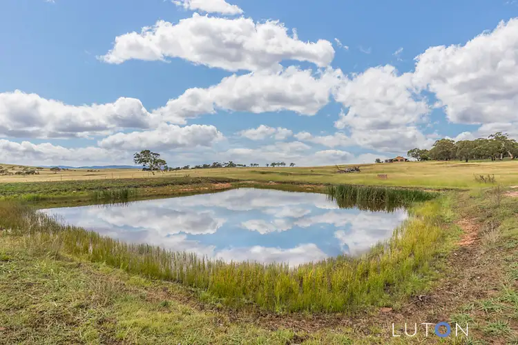 Fourth view of Homely rural property listing, 131 Jinglemoney Road, Braidwood NSW 2622