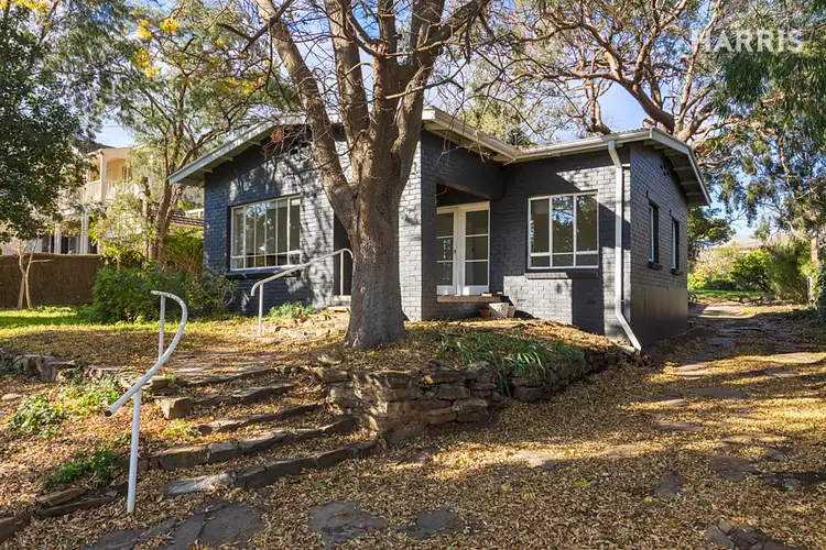 Main view of Homely house listing, 25 Netherby Avenue, Netherby SA 5062