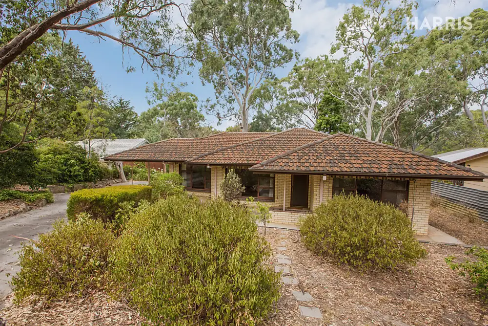 Main view of Homely house listing, 15 Cypress Avenue, Hawthorndene SA 5051