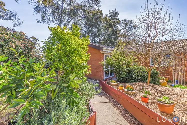1 Scobie Place, Holt ACT 2615
