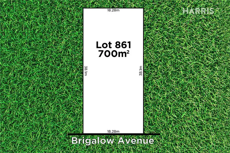 Main view of Homely house listing, 11 Brigalow Avenue, Seacombe Gardens SA 5047