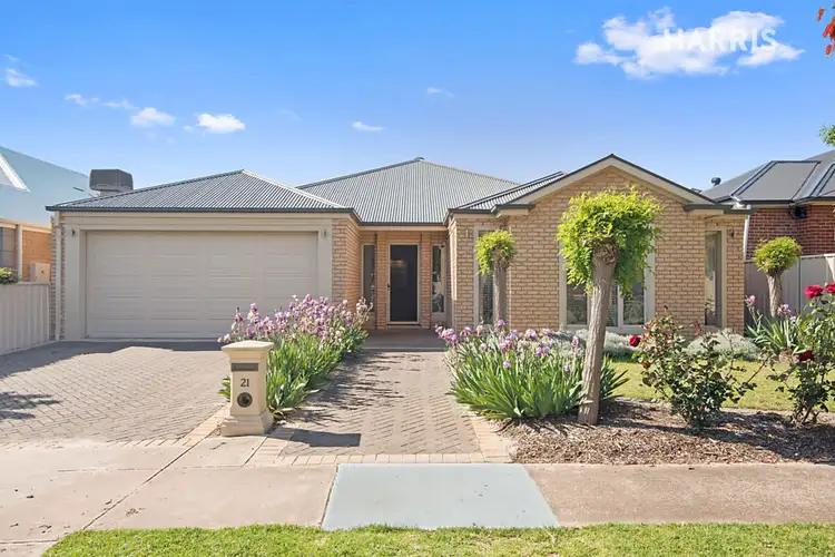 Main view of Homely house listing, 21 Harding Street, Glengowrie SA 5044