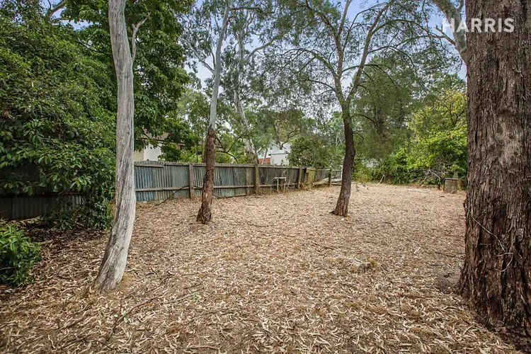 Fifth view of Homely house listing, 15 Cypress Avenue, Hawthorndene SA 5051