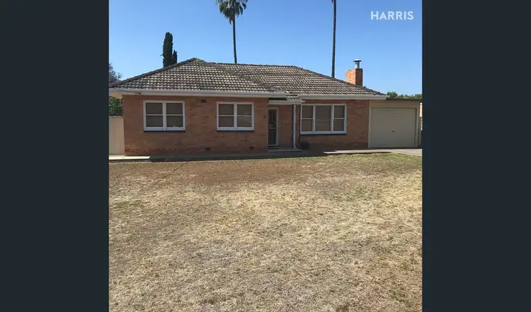 5 Maple Avenue