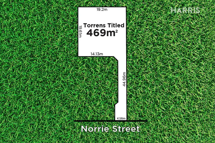 76A Norrie Avenue, Clovelly Park SA 5042