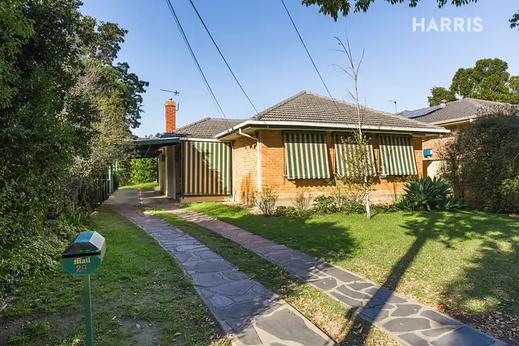 Second view of Homely house listing, 29 Birdwood Street, Netherby SA 5062