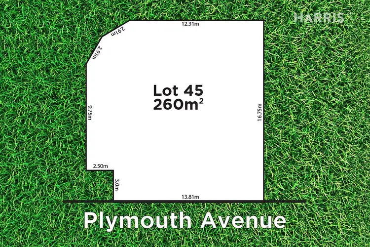 10 Plymouth Avenue, Sturt SA 5047