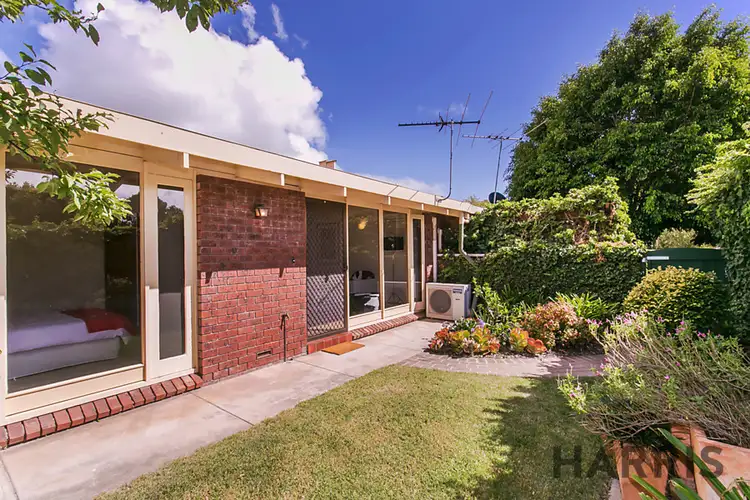 3/16 Alpha Street, Kensington Park SA 5068