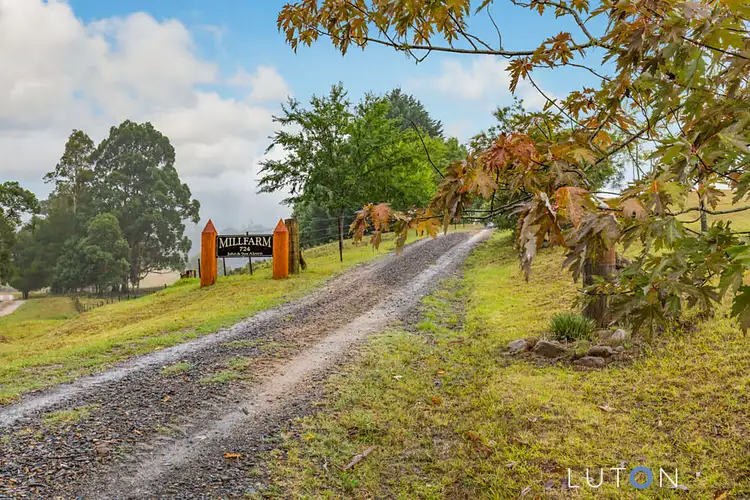 724 Yankees Gap Road, Bemboka NSW 2550