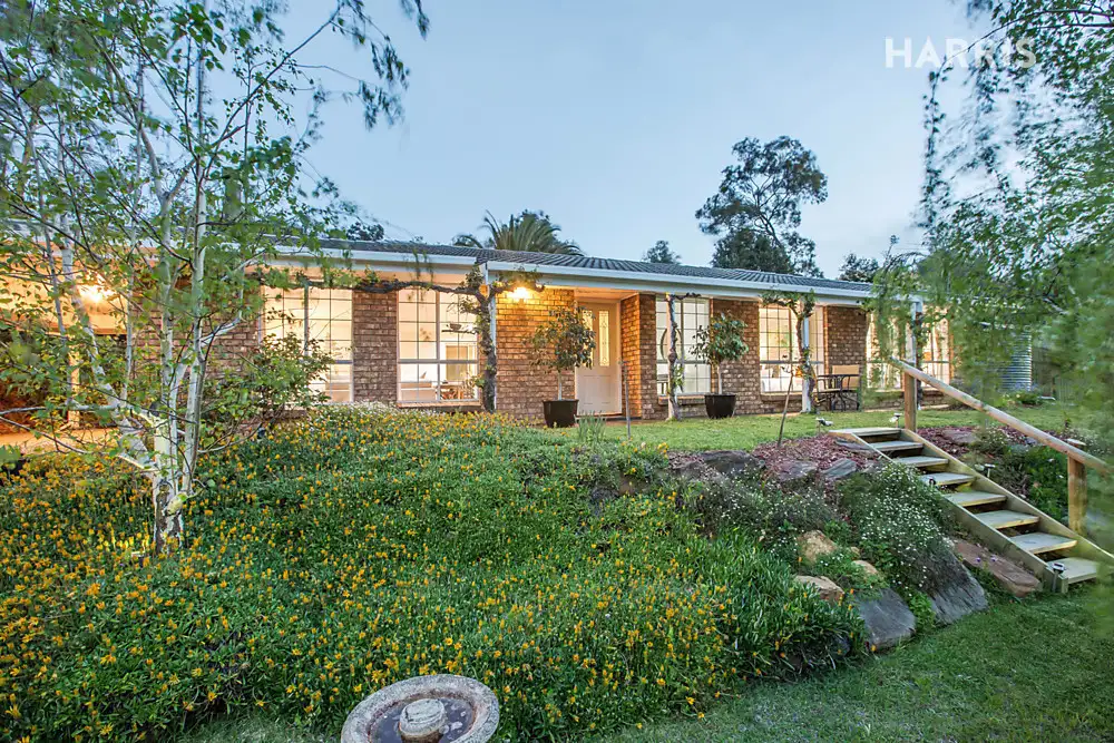 Main view of Homely house listing, 16 Renfrew Drive, Hawthorndene SA 5051