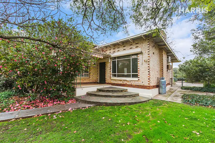 Main view of Homely house listing, 9 Hextall Avenue, Tranmere SA 5073