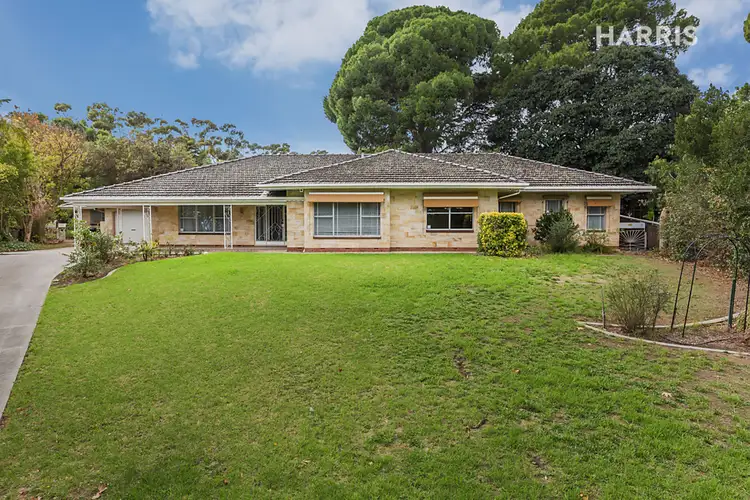 13 Coreega Avenue, Springfield SA 5062