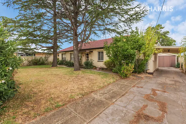 Second view of Homely house listing, 12 Mattson Avenue, Warradale SA 5046