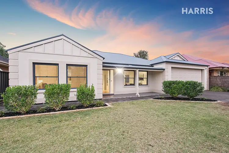 19 McLachlan Avenue, Glenelg North SA 5045