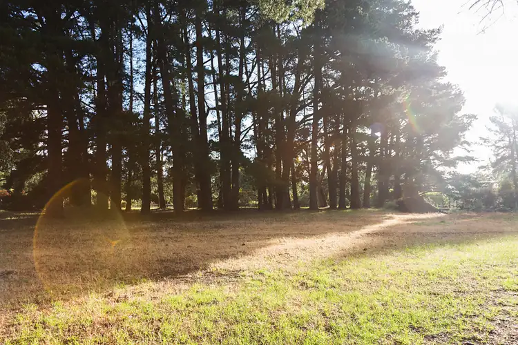 Fourth view of Homely house listing, 9 Sturt Close, Coromandel East SA 5157