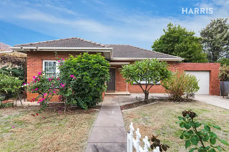 37 Third Avenue, St Morris SA 5068
